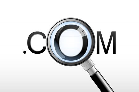 illustration of magnifying lens on dot com on white backgroundのイラスト素材