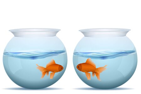 illustration of fishes in tanksのイラスト素材