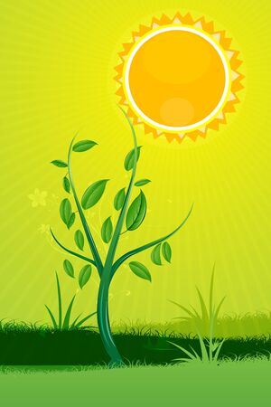 illustration of nature card with sunのイラスト素材