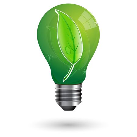 illustration of natural bulb on isolated backgroundのイラスト素材
