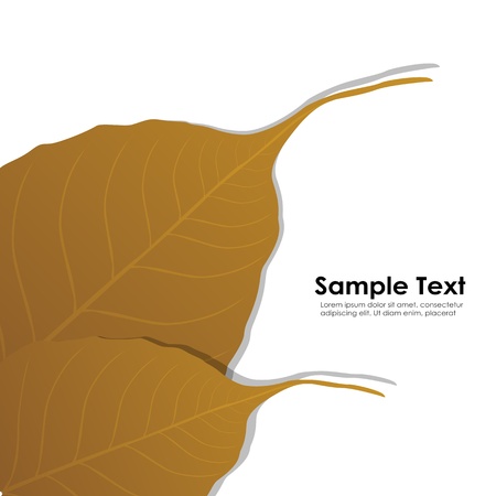 illustration of autumn card on white backgroundのイラスト素材