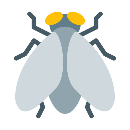 House Fly or Bugのイラスト素材