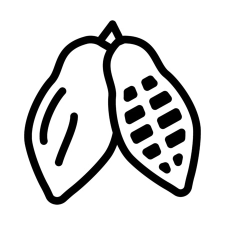 Raw Cocoa Podのイラスト素材