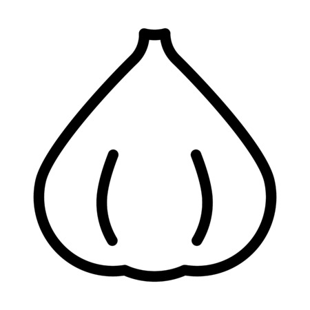 Organic Raw Garlicのイラスト素材