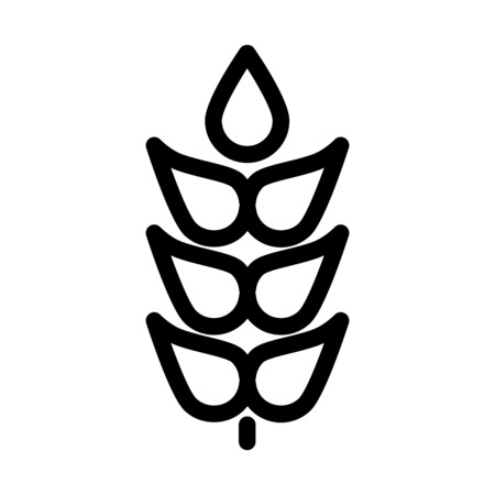 Rich cereal grainのイラスト素材