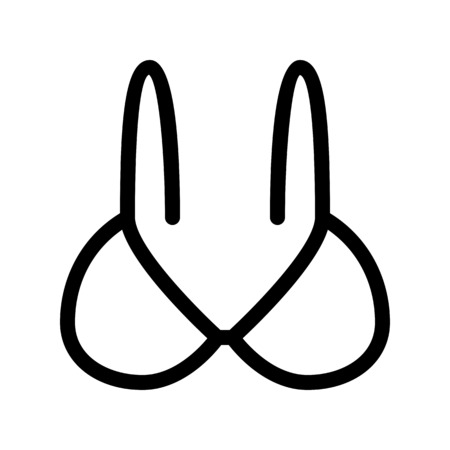 Bra or Brassiereのイラスト素材