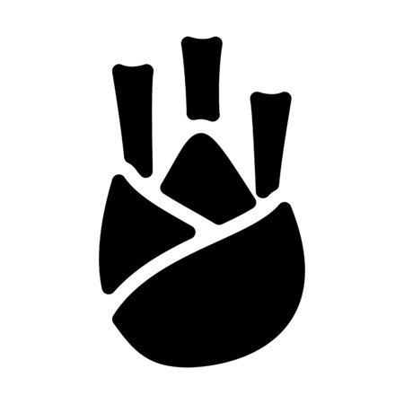 Aromatic Fennel Budのイラスト素材