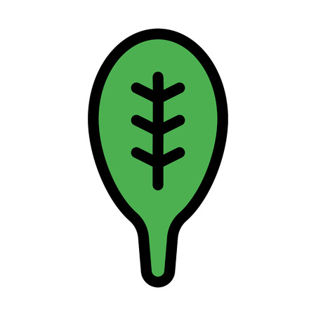 Fresh Spinach Leafのイラスト素材