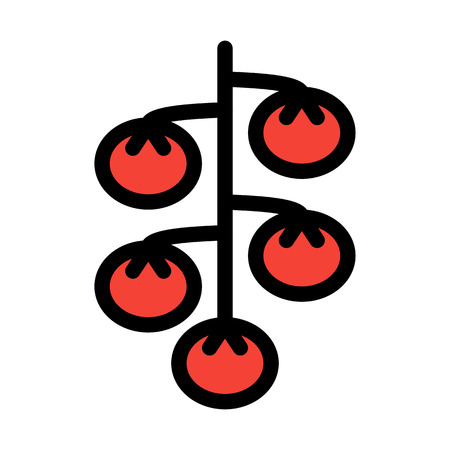 Cherry Sweet Tomatoのイラスト素材