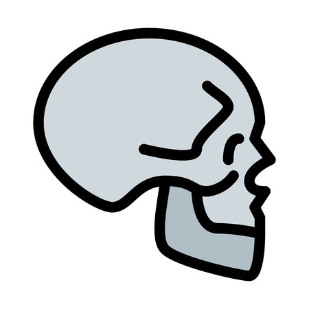 X-Ray of Skullのイラスト素材