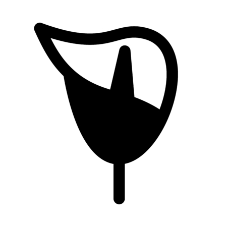 Anthurium flowering plantのイラスト素材