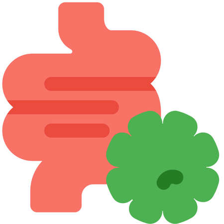 Human intestine infected with a stomach virusのイラスト素材
