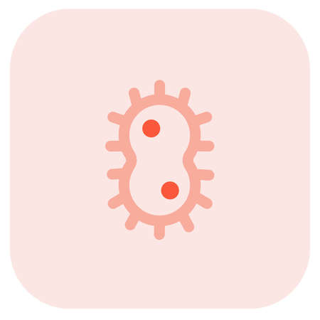 Bacteria replicating from each other from a unisex structureのイラスト素材
