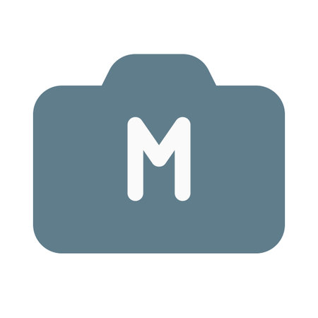 Manual DSLR camera setting for porfessional photographyのイラスト素材