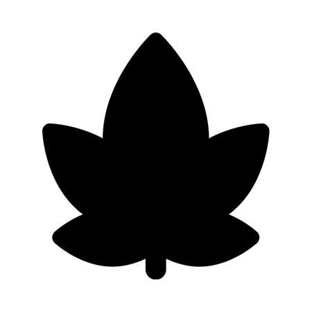 maple autumn leaf isolated on white backgroundのイラスト素材