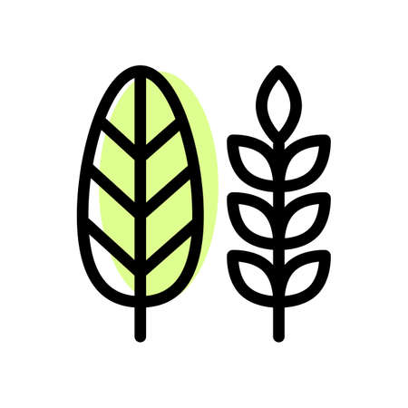Decorative paddy leaf as a part of thanksgiving harvesting seasonのイラスト素材