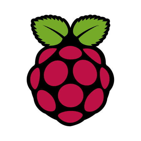 Raspberry Pi is a small and affordable computer that you can use to learn programmingのイラスト素材
