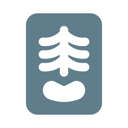 X-ray for diagnosis isolated on a white background