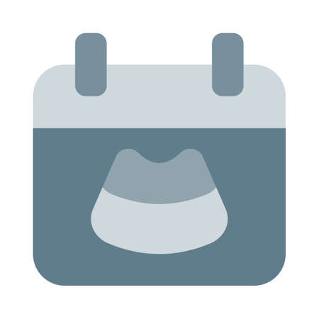 Appointment monthly ultrasound scan isolated on a white backgroundのイラスト素材
