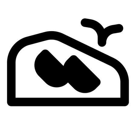 Traditional homemade beef carpaccio dishのイラスト素材