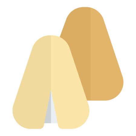 Serving traditional italian rice ballsのイラスト素材