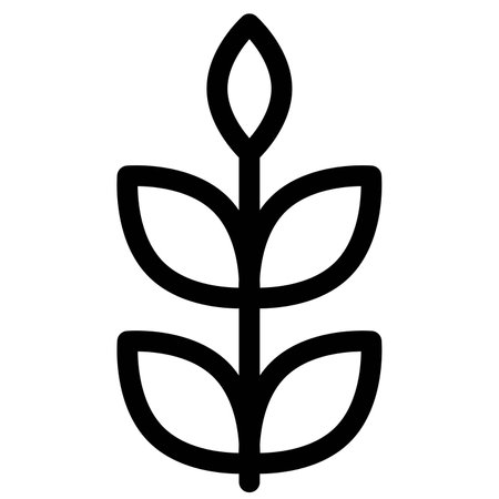 Wheat, seasonal grains cultivated in winters.のイラスト素材