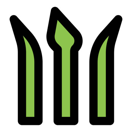 Fresh raw asparagus in a bunch.のイラスト素材
