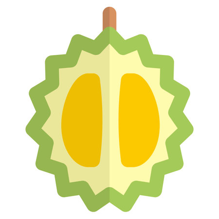 Delicious piece of fresh pulpy durian.のイラスト素材