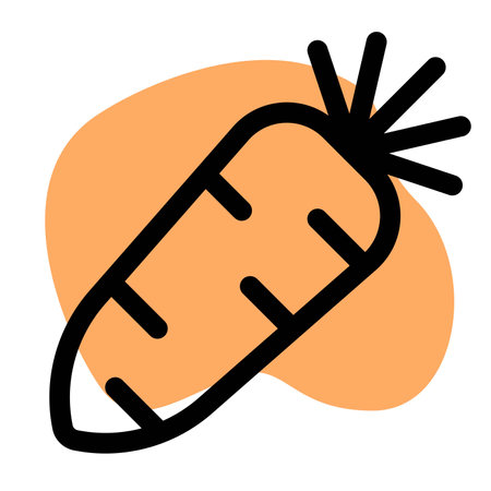 Raw radish often consumed in saladのイラスト素材