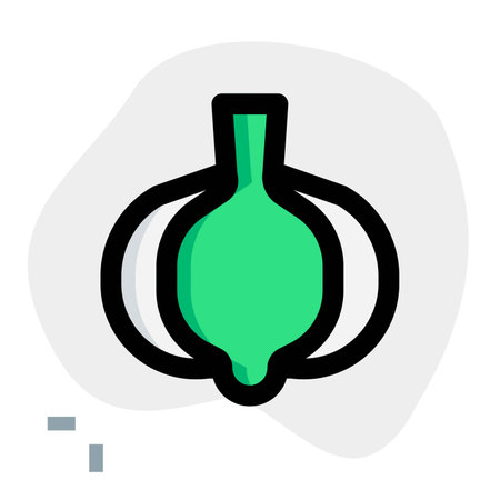 Garlic, a herb for flavor.のイラスト素材