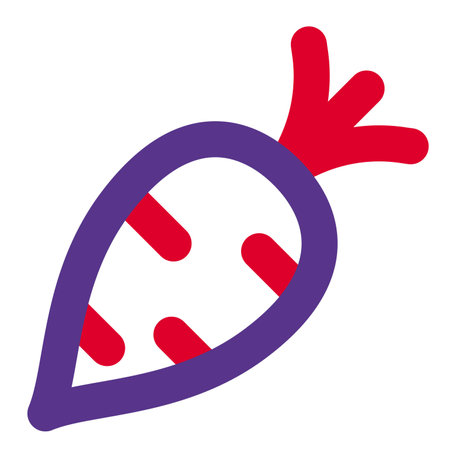 Seasonal winter vegetable, raw turnip.のイラスト素材