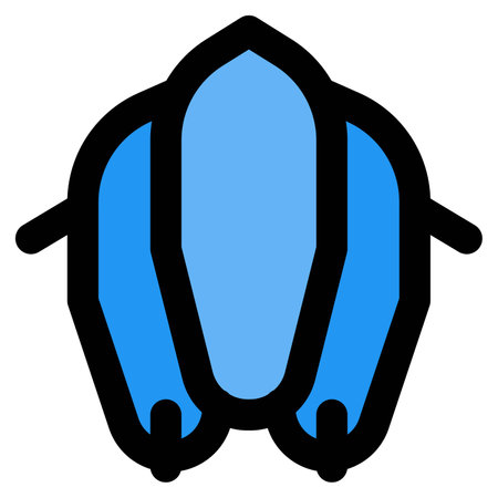 Avalon airship, utilized mainly in aerial photography.のイラスト素材