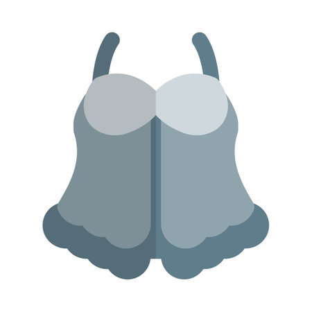 Baby doll dress, women's personal clothing or sleepwear.のイラスト素材