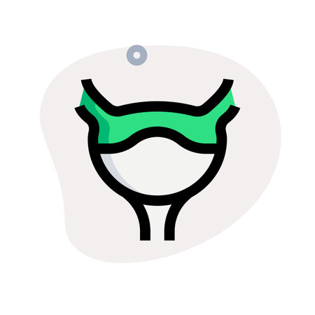 Bladder is a hollow muscular organ in humans and other vertebratesのイラスト素材