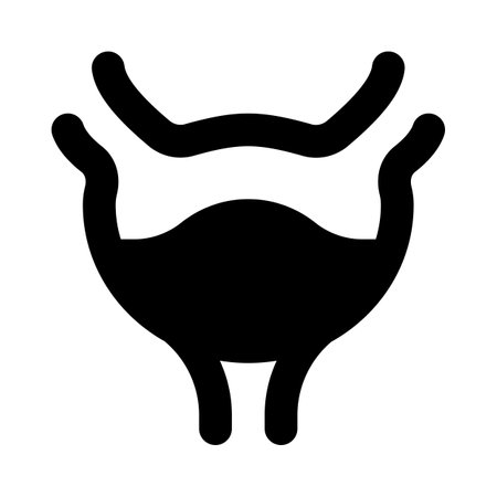 Bladder is a hollow muscular organ in humans and other vertebratesのイラスト素材