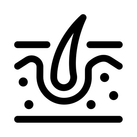 The dermis is the layer of skin that lies beneath the epidermis and above the subcutaneous layerのイラスト素材