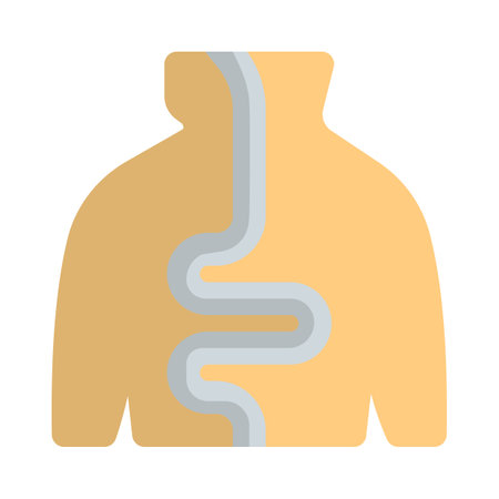 Human digestive system, the system used in the human body for the process of digestion.のイラスト素材