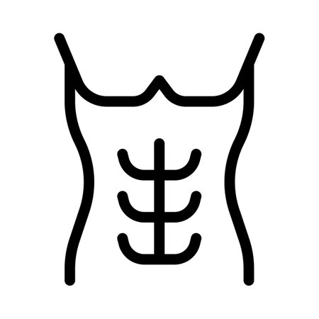 The rectus abdominis muscle, also known as the abdominal muscle or ABSのイラスト素材