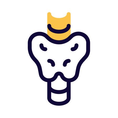 The thyroid is a butterfly-shaped gland that sits low on the front of the neck.のイラスト素材