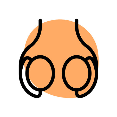 Testicle or testis (plural testes) is the male reproductive glandのイラスト素材