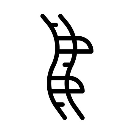 The vertebral column, also known as the backbone or spine.のイラスト素材