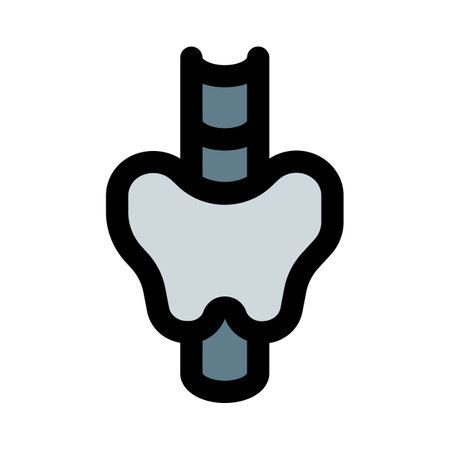The thyroid is a butterfly-shaped gland that sits low on the front of the neck.のイラスト素材