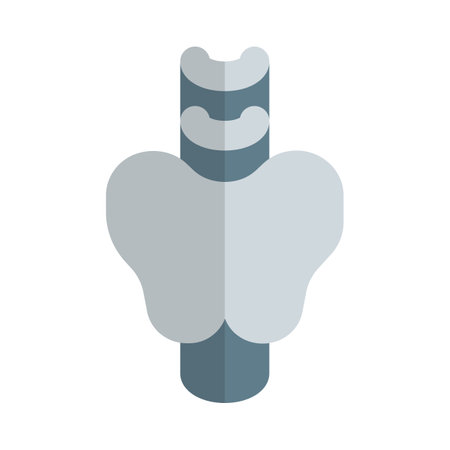 The thyroid is a butterfly-shaped gland that sits low on the front of the neck.のイラスト素材