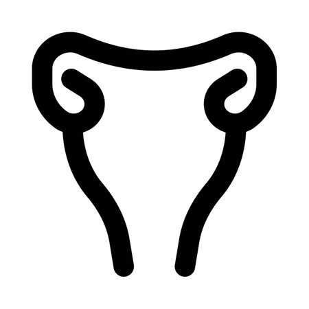 The uterus is a hollow muscular organ located in the female pelvis between the bladder and rectumのイラスト素材