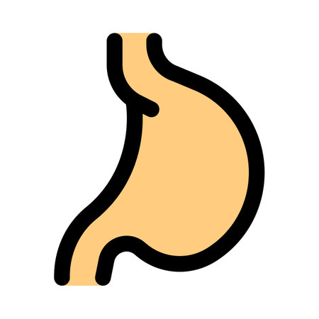 The stomach receives food from the esophagusのイラスト素材