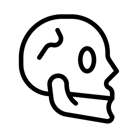 The cranium (skull) is the skeletal structure of the head that supports the face and protects the brain.のイラスト素材