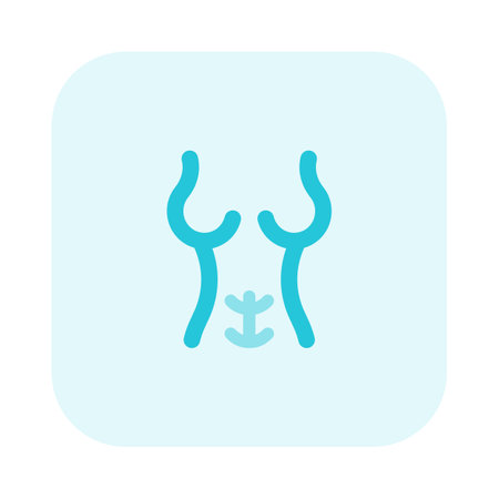 Women also known as the abdominal muscle or ABSのイラスト素材