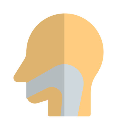 Throat is the front part of the neck, positioned in front of the vertebraのイラスト素材