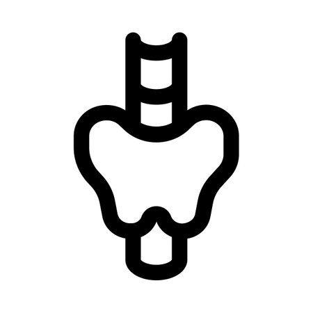 The thyroid is a butterfly-shaped gland that sits low on the front of the neck.のイラスト素材