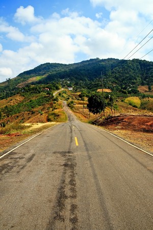 Road to forestの写真素材